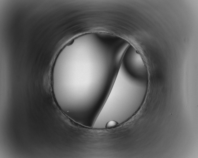 X0000090430816200707131200