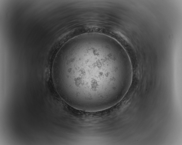 X0000090430821200707131159