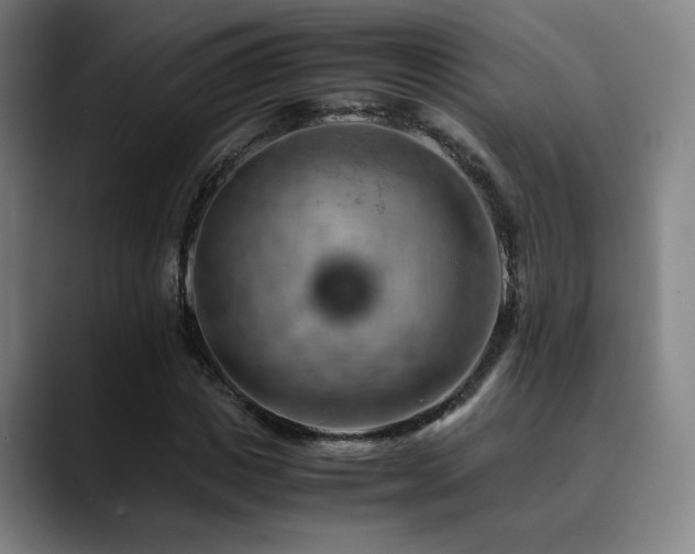 X0000090430825200707131159