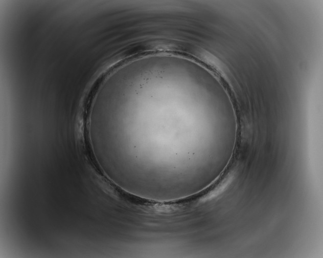 X0000090430827200707131159