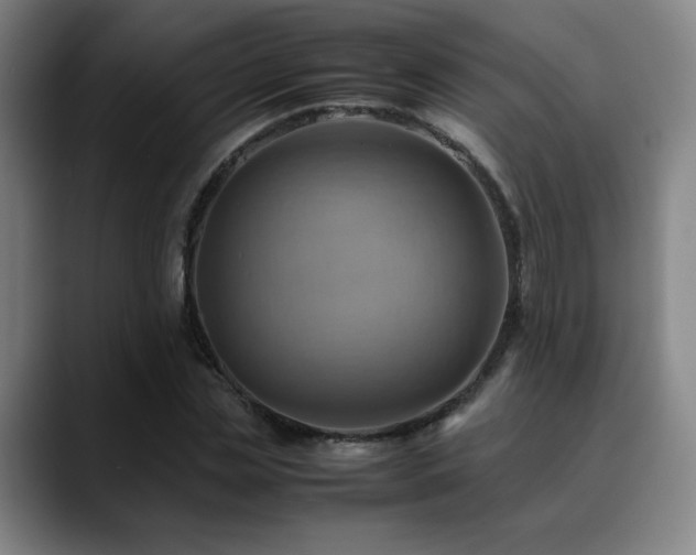 X0000090430829200707131159
