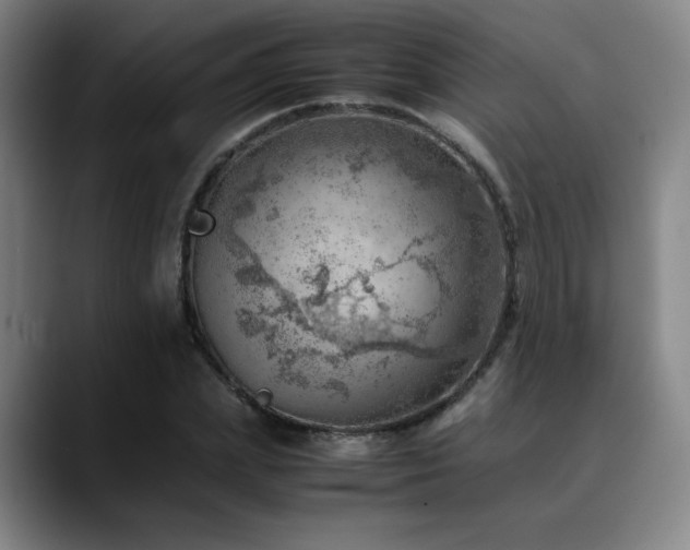 X0000090430831200707131200
