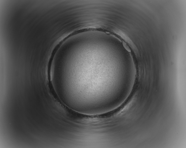 X0000090430834200707131200