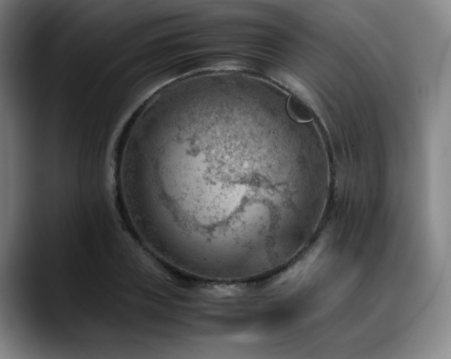 X0000090430835200707131200