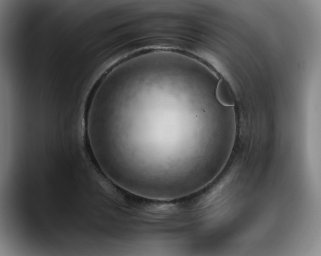 X0000090430837200707131200