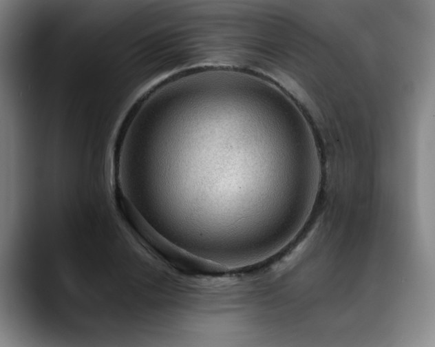 X0000090430838200707131200