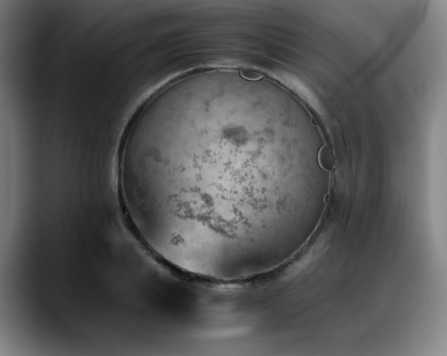 X0000090430839200707131200