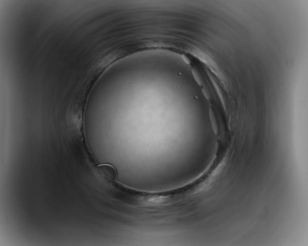 X0000090430841200707131200