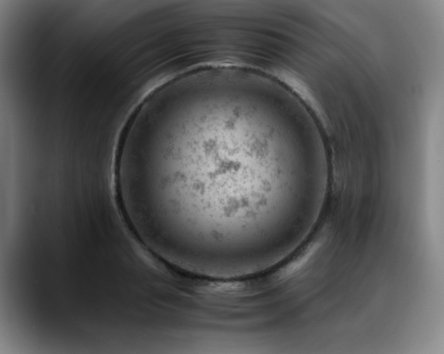 X0000090430845200707131200