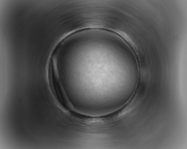 X0000090430846200707131200