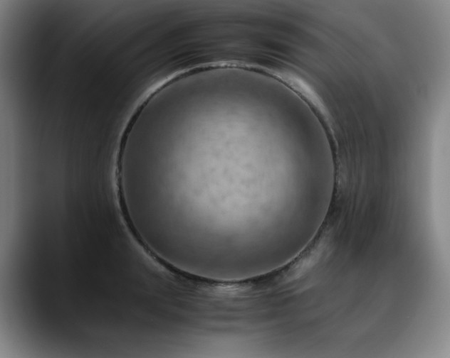 X0000090430847200707131200