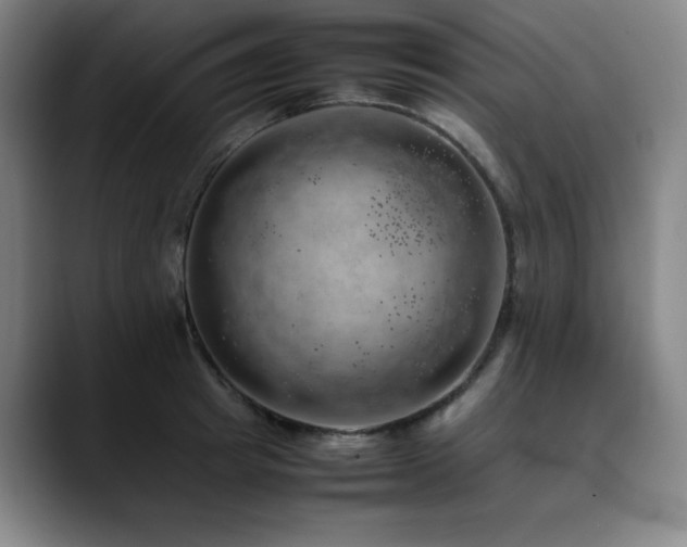 X0000090430849200707131200