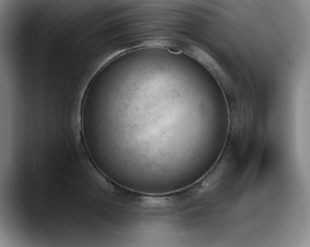 X0000090430852200707131200