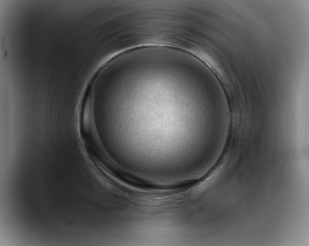 X0000090430854200707131200