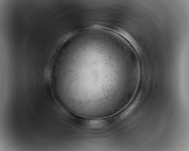 X0000090430857200707131200