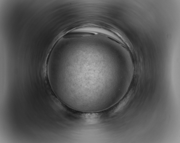 X0000090430858200707131200