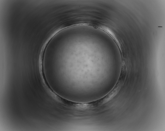 X0000090430859200707131200