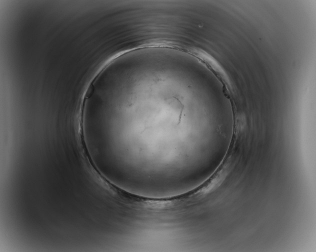 X0000090430860200707131200