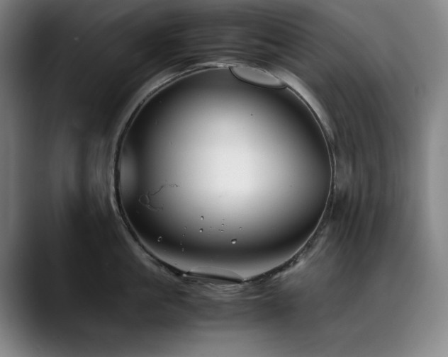 X0000090430861200707131200