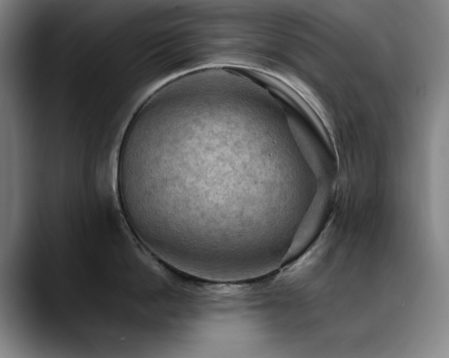 X0000090430862200707131200