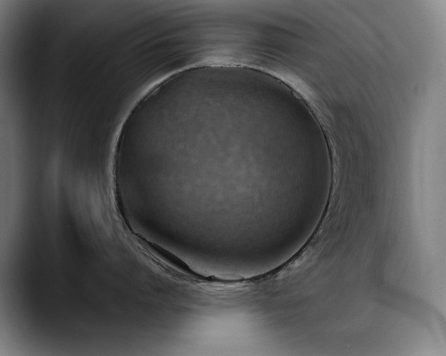 X0000090430864200707131200
