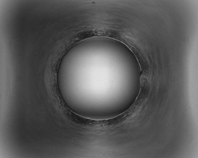 X0000090430865200707131159