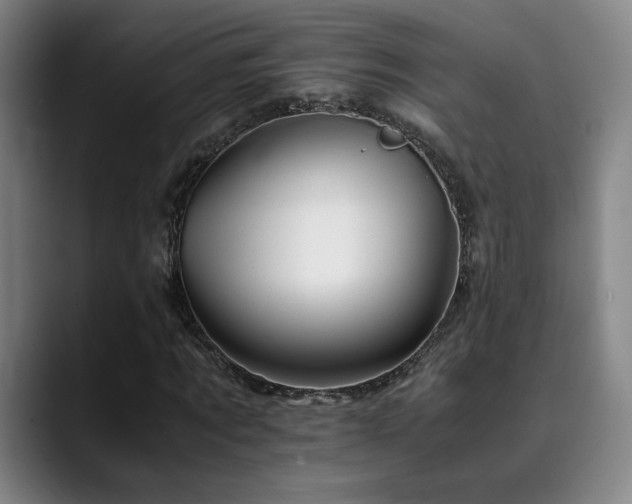 X0000090430869200707131159