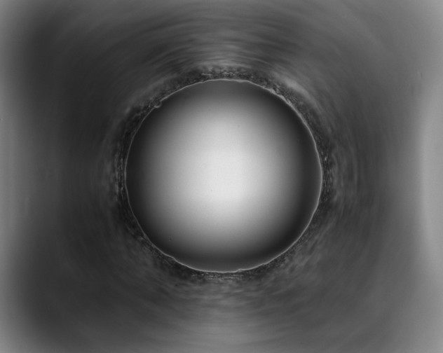 X0000090430870200707131159
