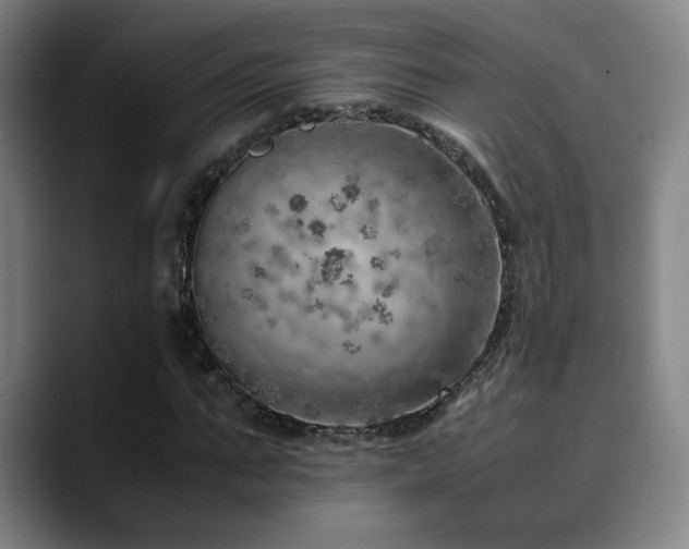 X0000090430871200707131159