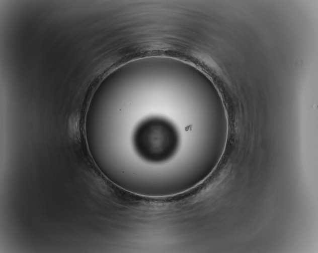 X0000090430873200707131159