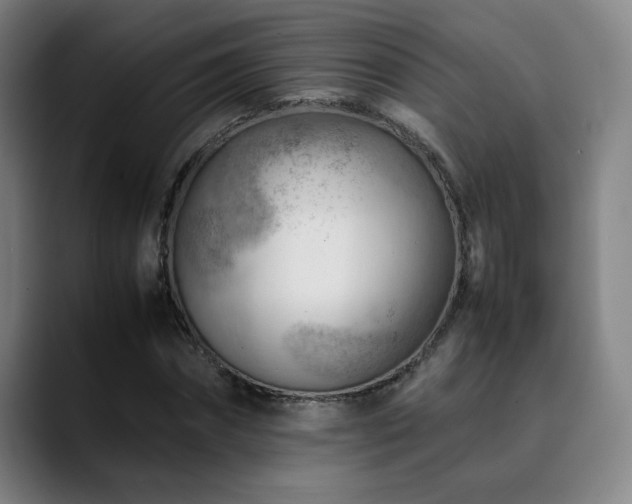 X0000090430874200707131159