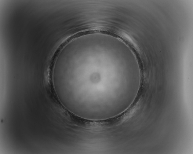 X0000090430875200707131159