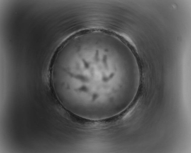 X0000090430879200707131159