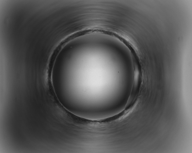 X0000090430880200707131159