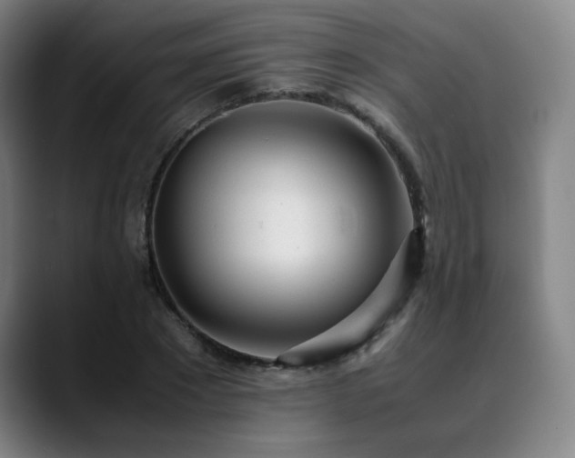 X0000090430881200707131159