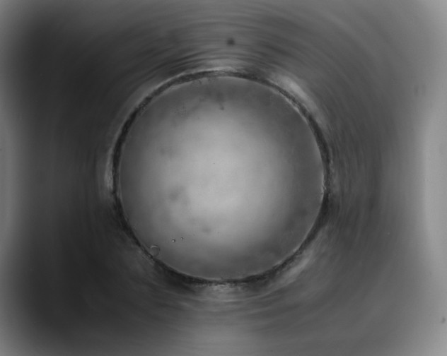 X0000090430883200707131159