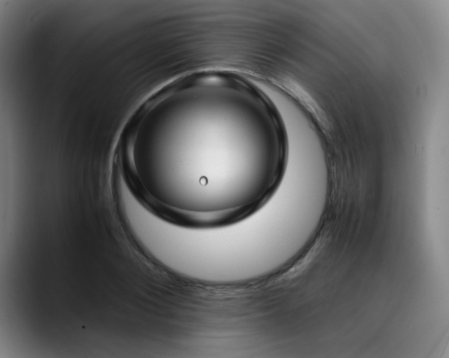 X0000090430884200707131159