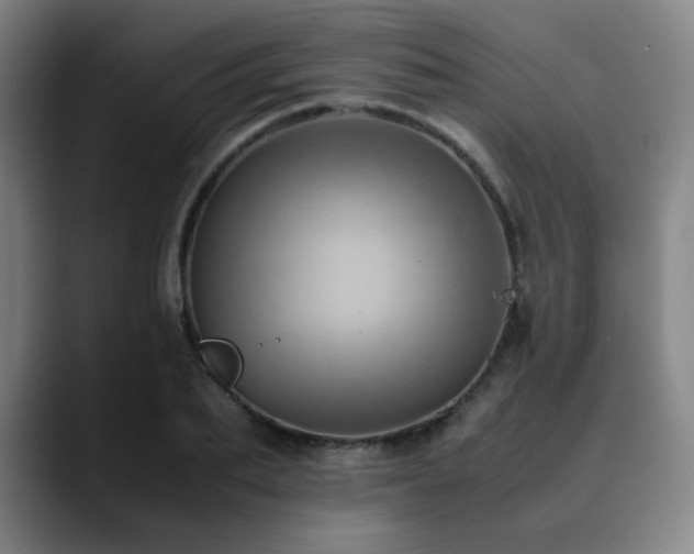 X0000090430887200707131159