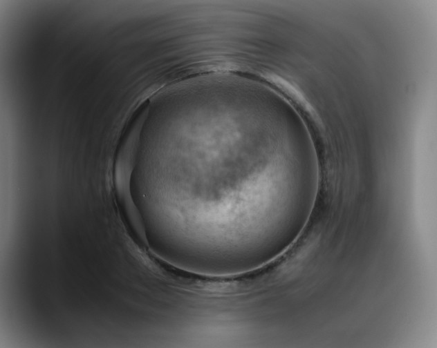 X0000090430889200707131159