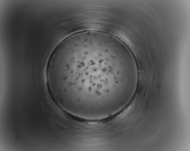 X0000090430891200707131159