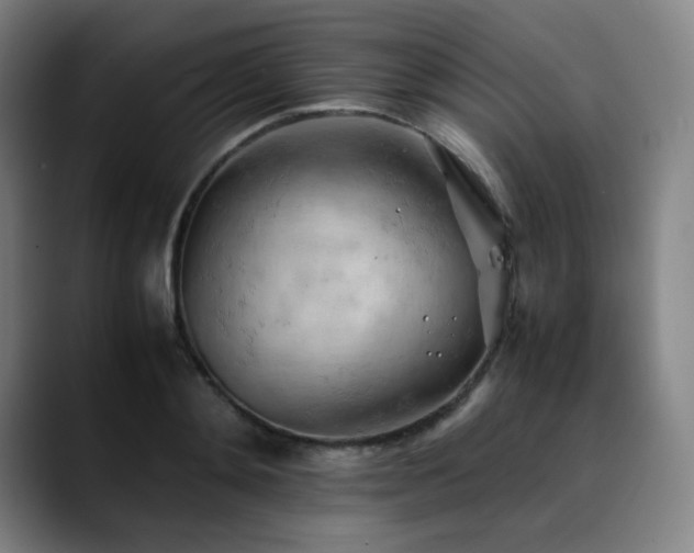 X0000090430892200707131159