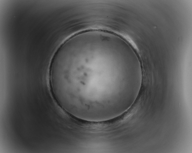 X0000090430895200707131159