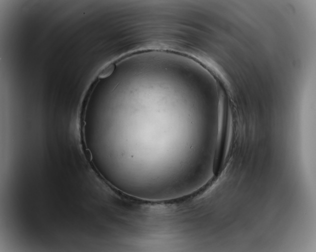 X0000090430896200707131159