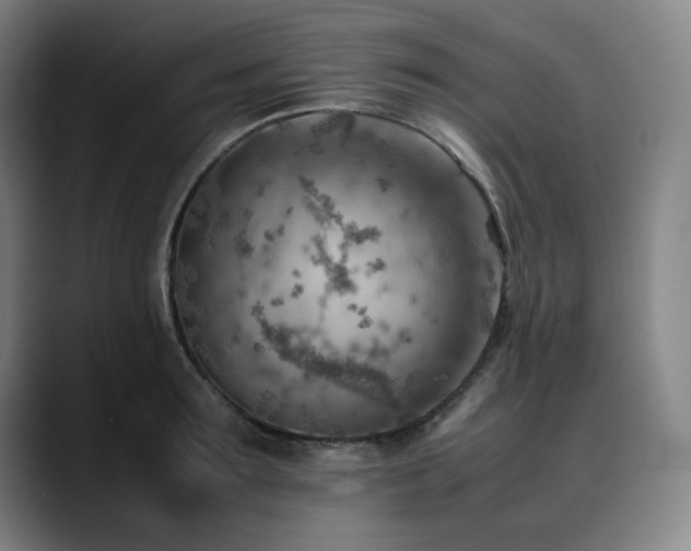 X0000090430899200707131159