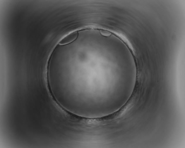 X0000090430903200707131159