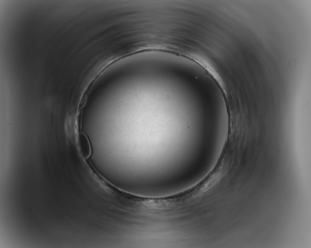X0000090430906200707131159