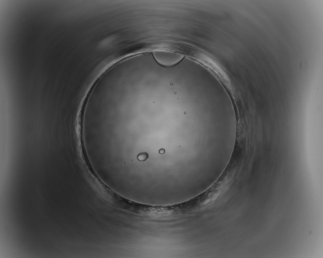 X0000090430907200707131159