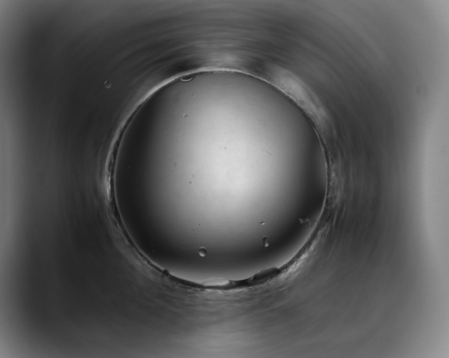 X0000090430908200707131159