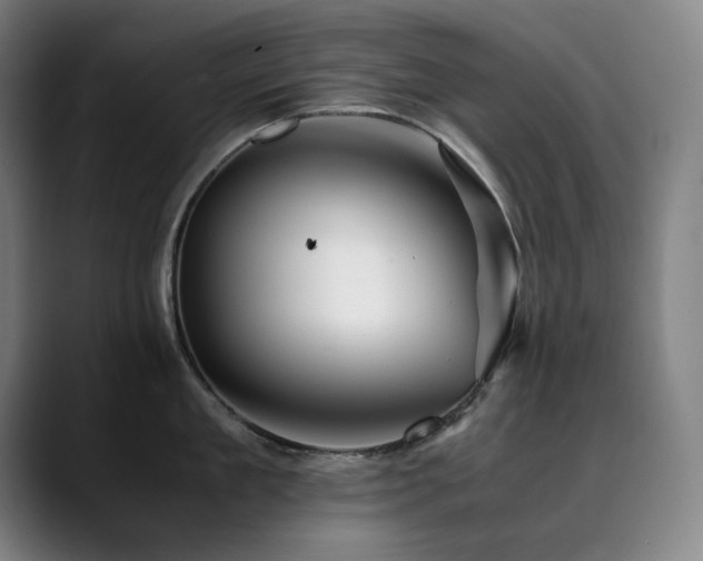 X0000090430909200707131159