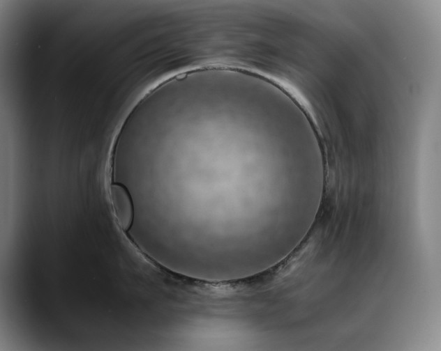 X0000090430911200707131159